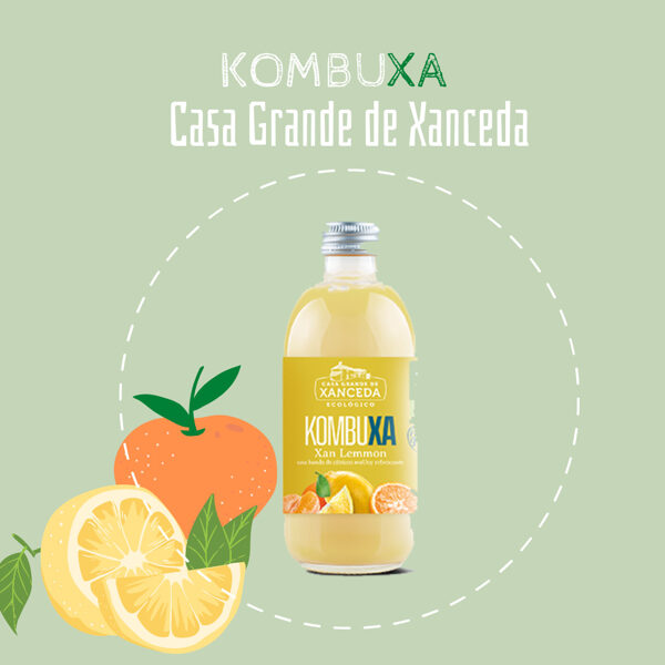 Kombucha de Cítricos