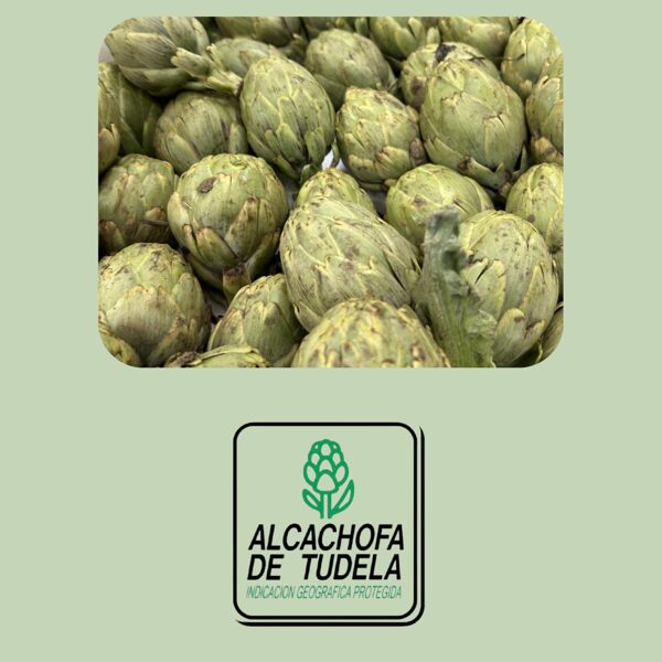Alcachofa