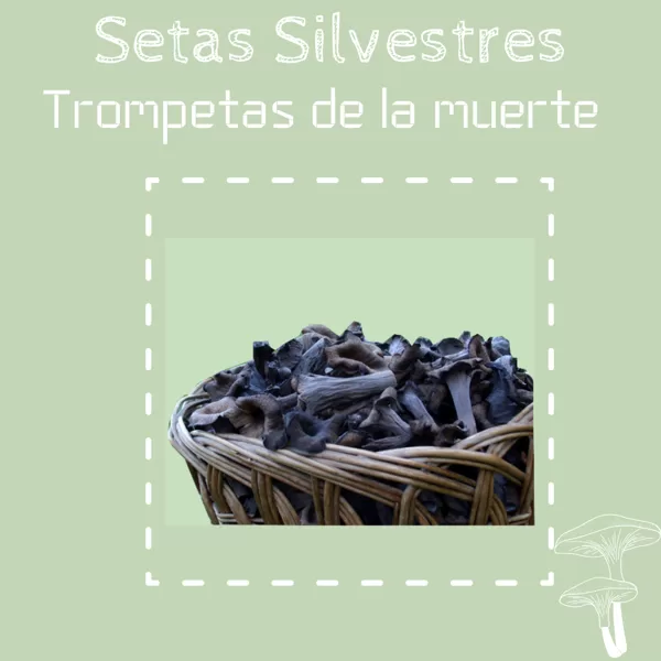Trompetas de la Muerte