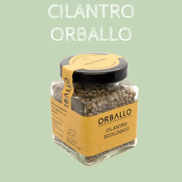 Cilantro