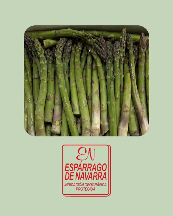 Espárrago Triguero