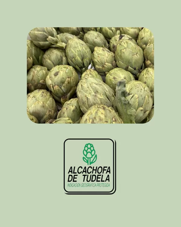 Alcachofa