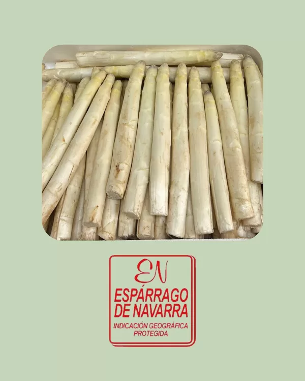Espárrago Blanco